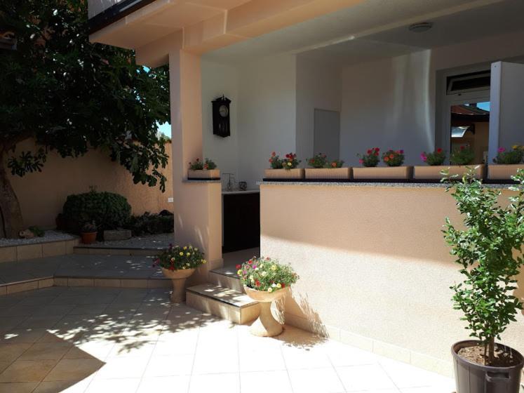 Apartments Rovis Tar-Vabriga Ngoại thất bức ảnh